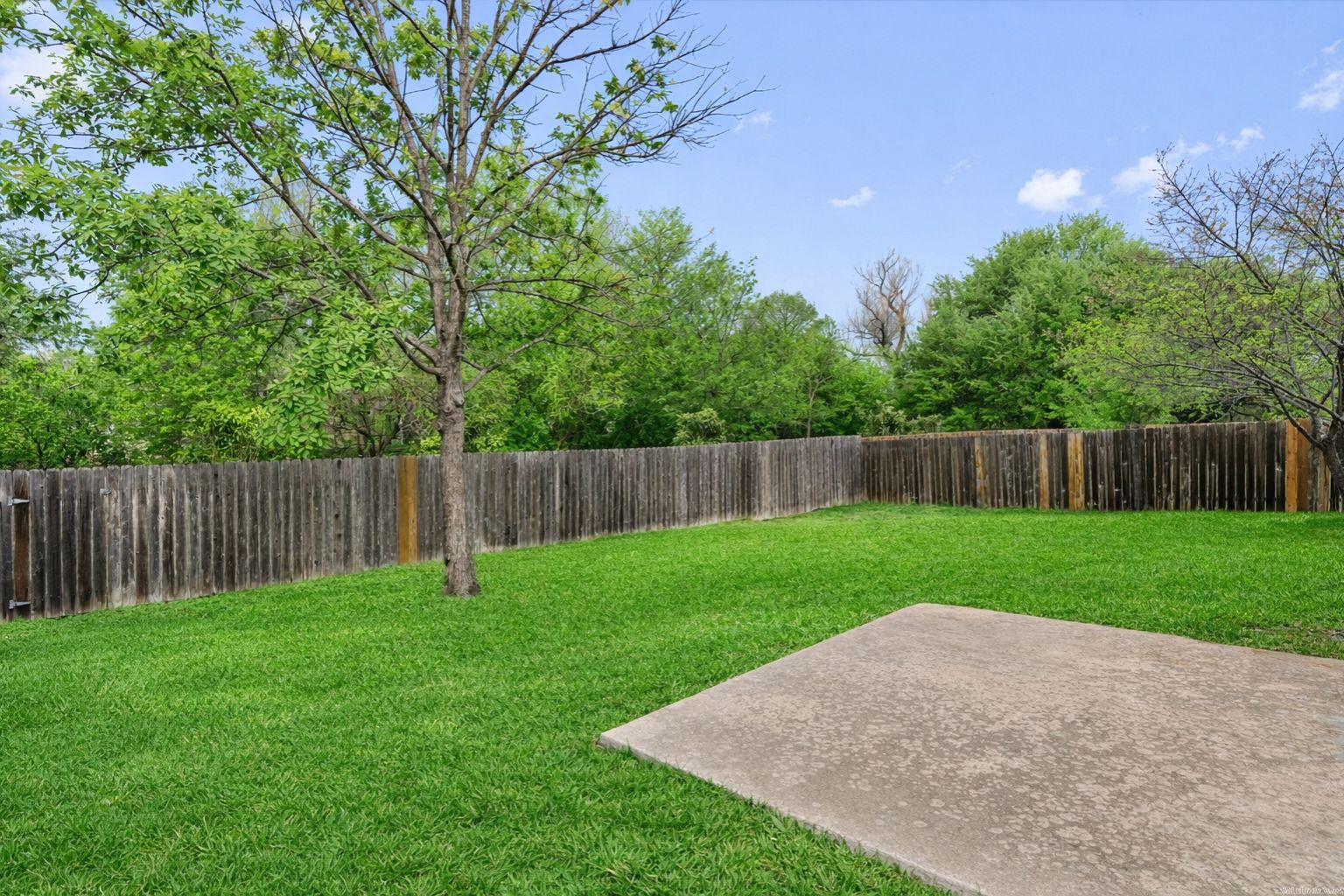 14818 Yellowleaf Trail Austin, TX 78728 - Photo 7 of 40 a view of back yard