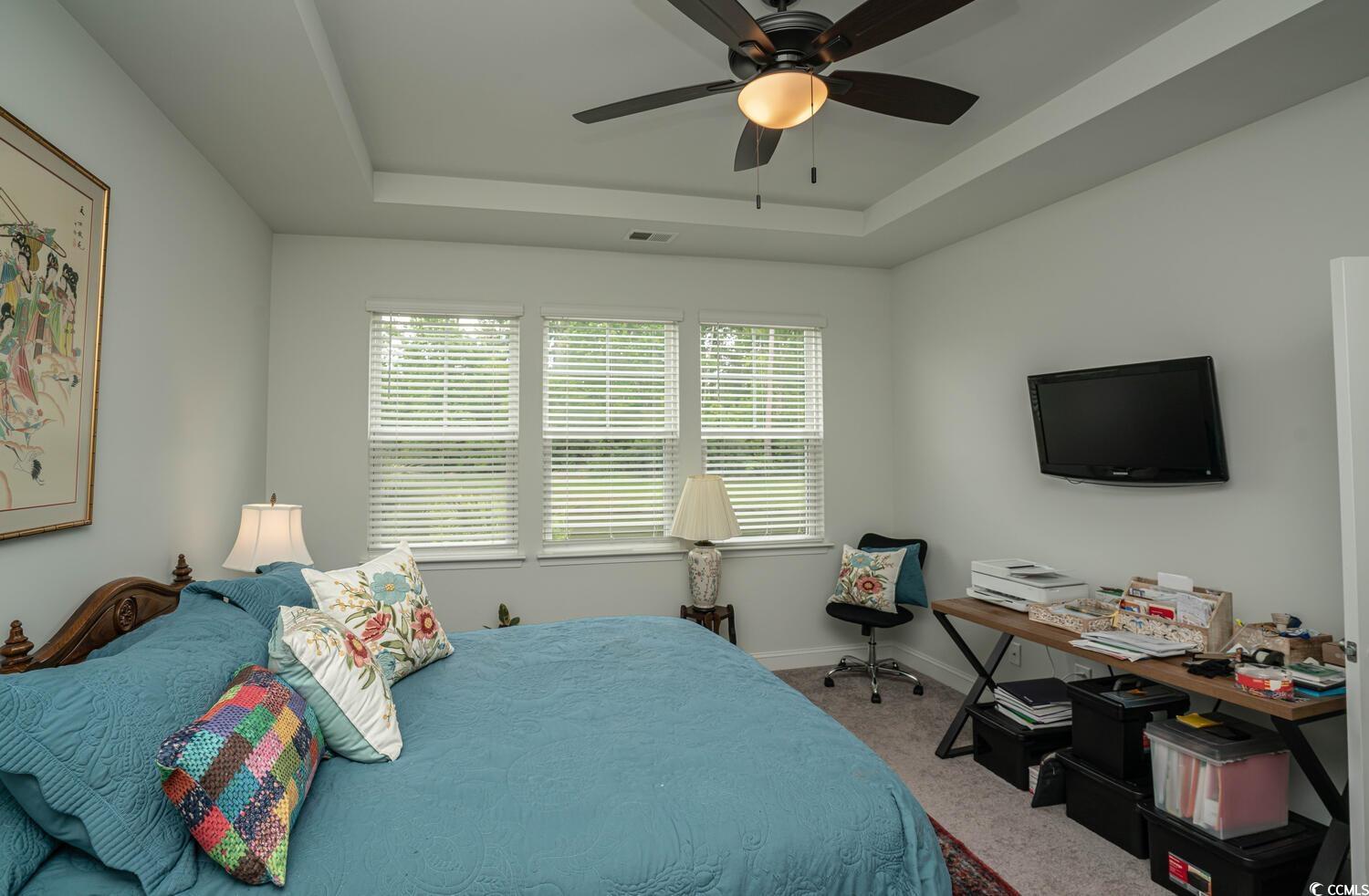 251 Juniata Loop Little River, SC 29566 - Photo 30 of 39 Carpeted bedroom with a tray ceiling, baseboards, and a ceiling fan