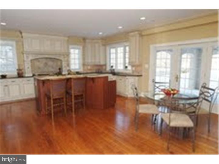 1923 Stone Ridge Lane Villanova, PA 19085 - Photo 14 of 15 Kitchen