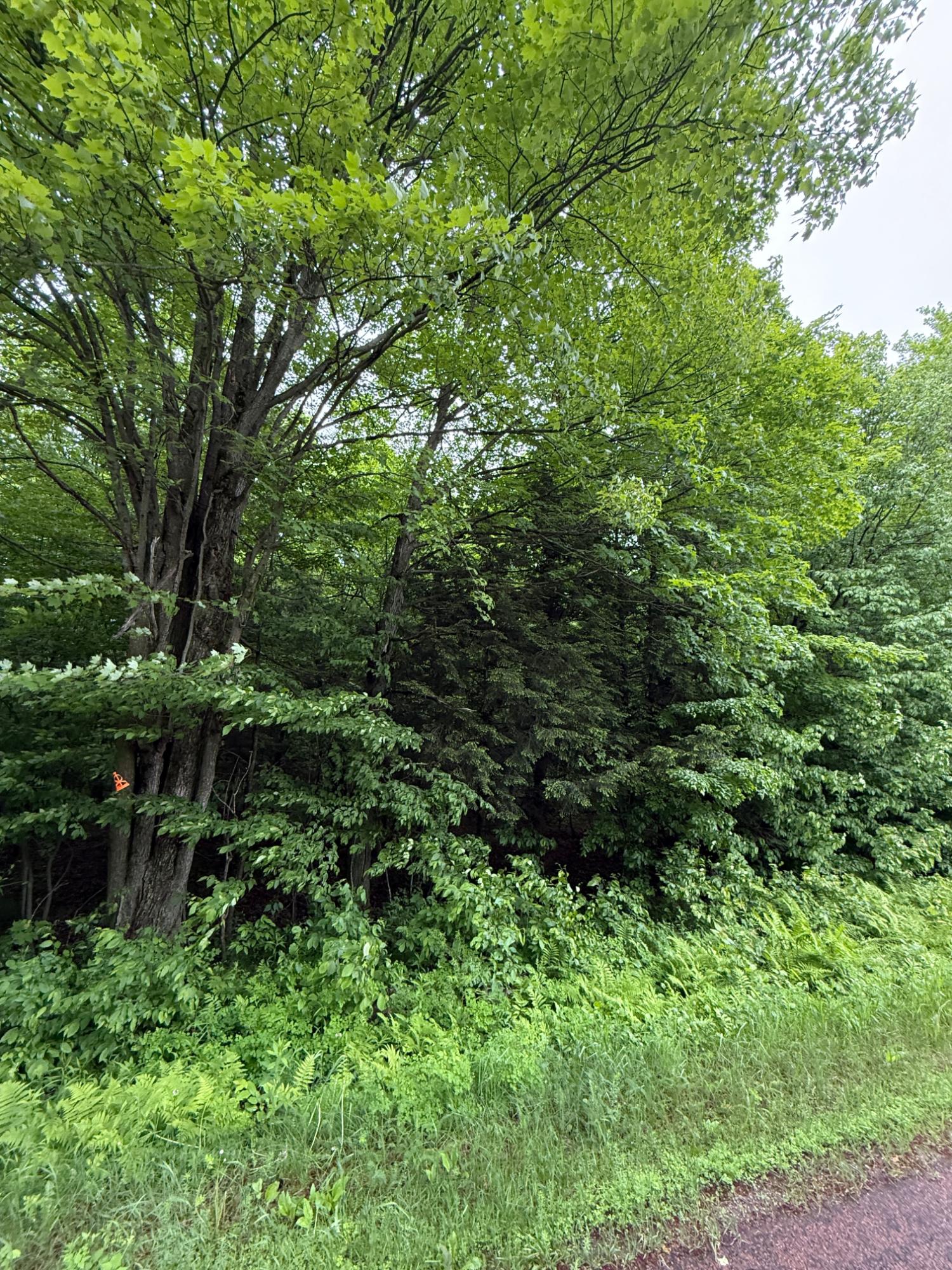 On Tobias Road Antigo, WI 54409 - Photo 1 of 2 Gallery Image 1
