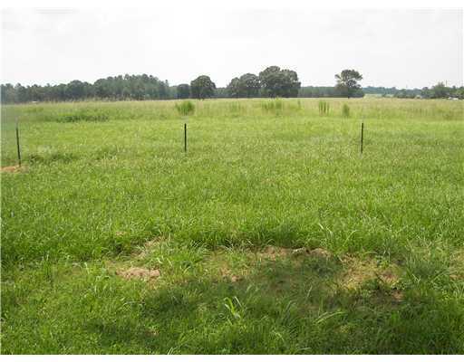 4398 Stringfellow Road Lucedale, MS 39452 - Photo 7 of 8 Additional Photo