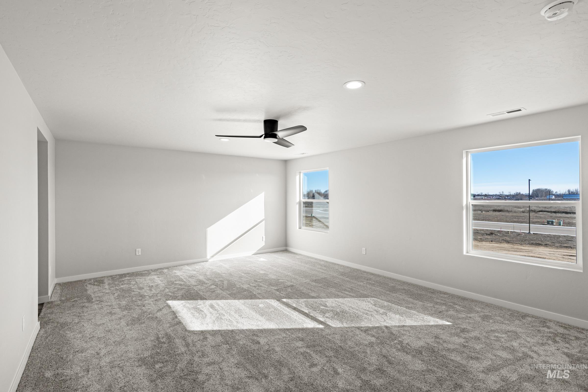 1647 Dyer Street Middleton, ID 83644 - Photo 19 of 25 Carpeted spare room featuring plenty of natural light and ceiling fan