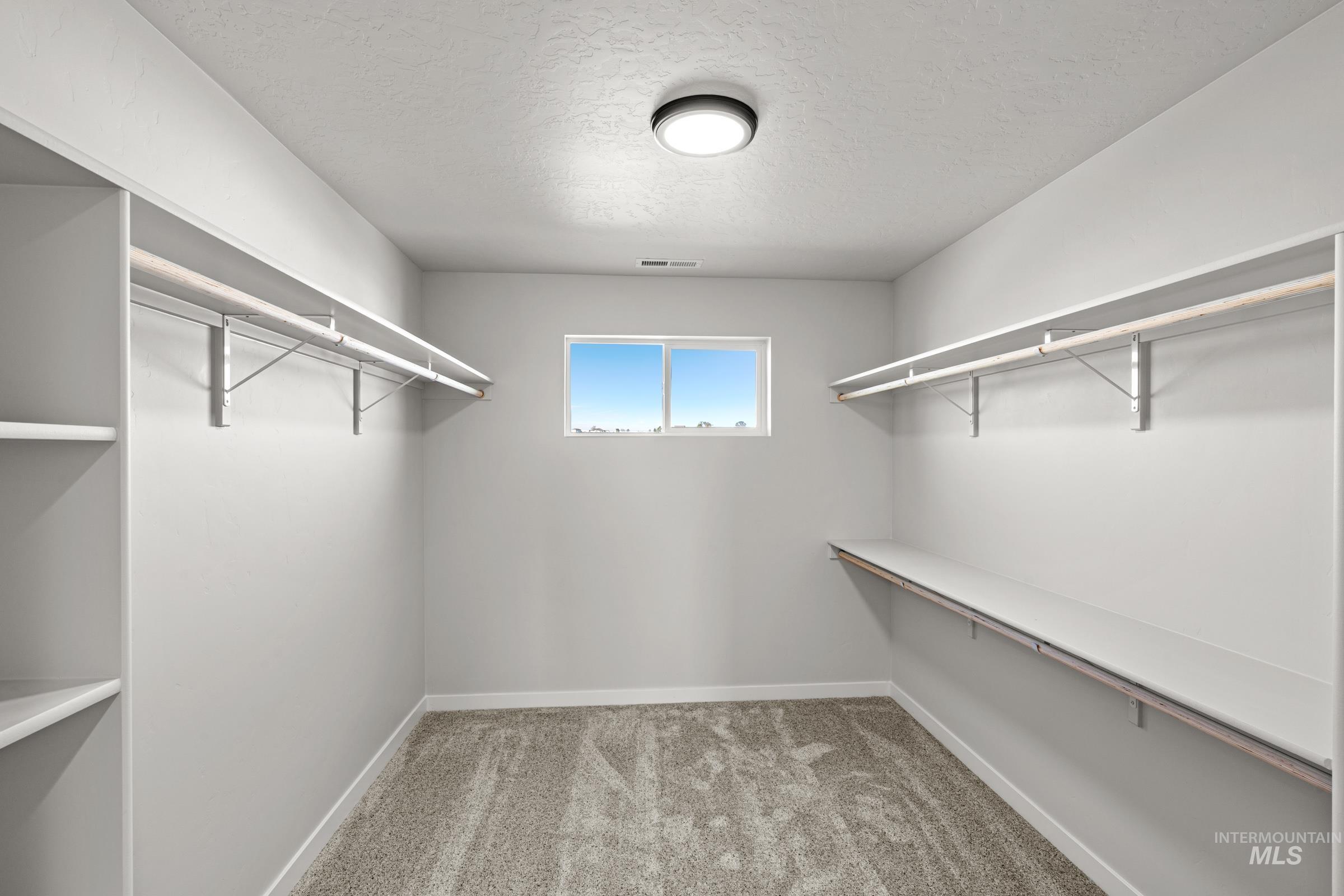 1647 Dyer Street Middleton, ID 83644 - Photo 21 of 25 Walk in closet with light colored carpet