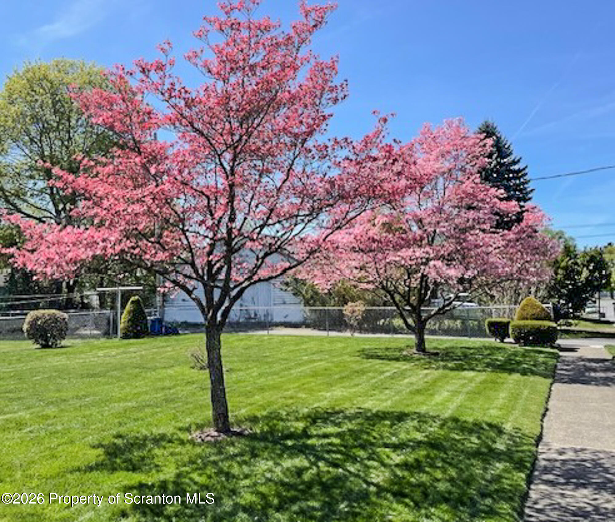 606 Warner Street Scranton, PA 18505 - Photo 14 of 43 Yard