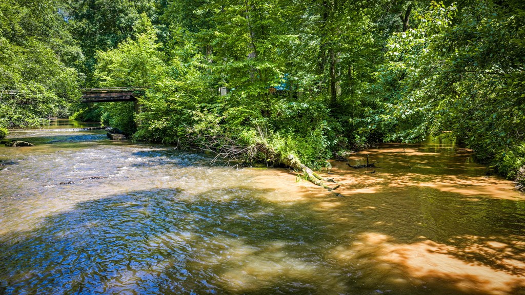 2977 Highway 2 Blue Ridge, GA 30513 - Photo 69 of 89