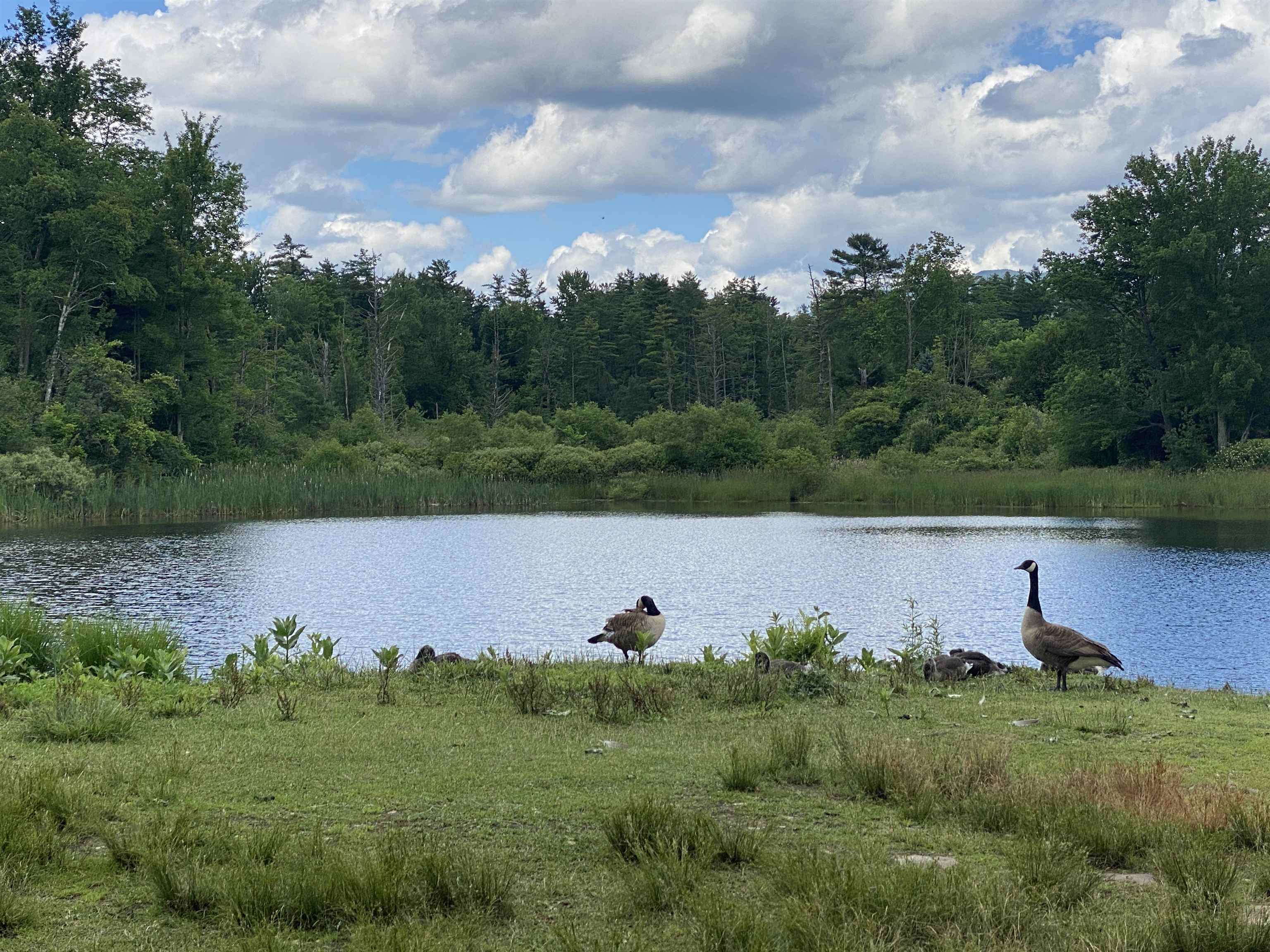0 Sharon Drive, Unit 12 Rutland, VT 05701 - Photo 11 of 15
