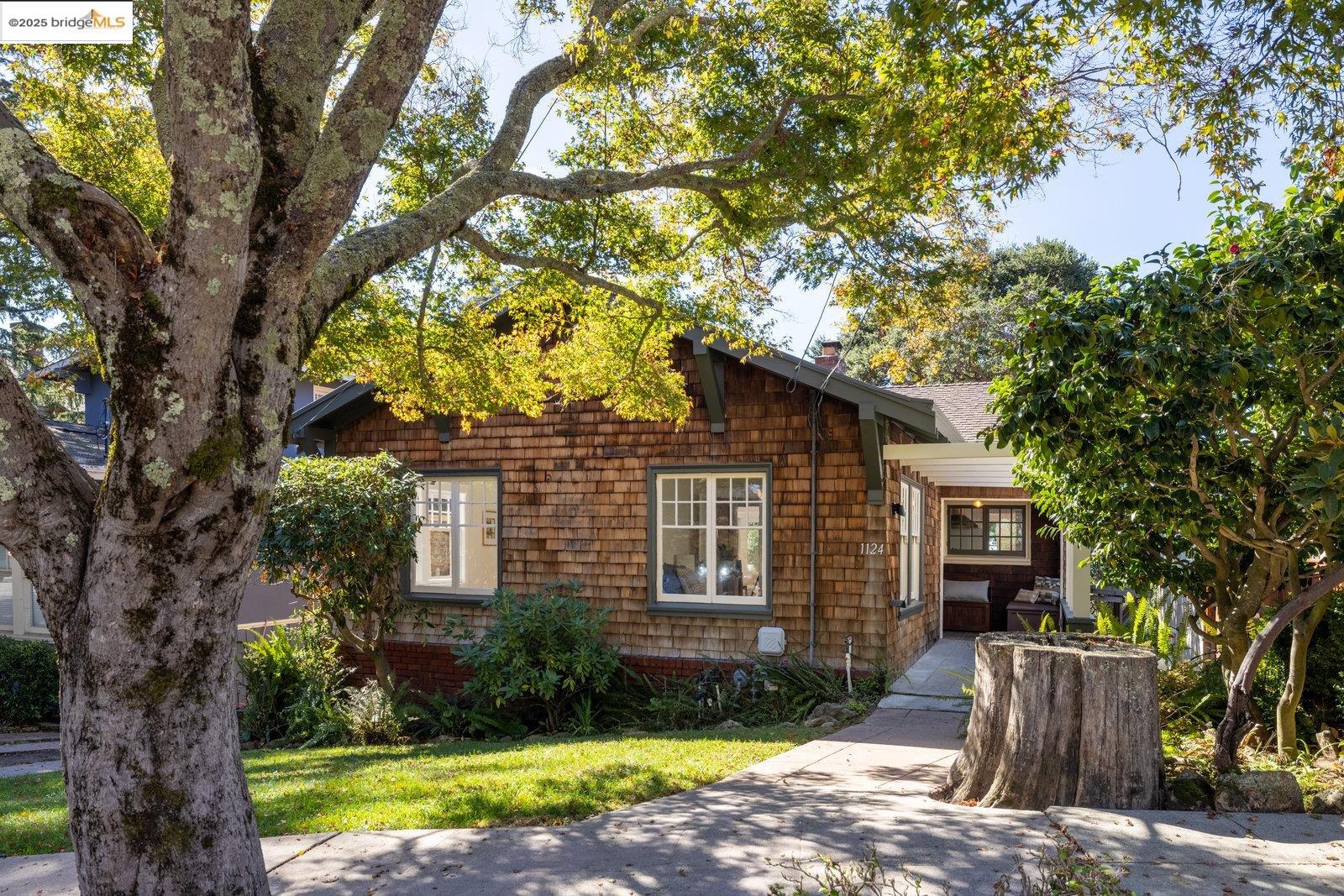 1124 Walnut Street Berkeley, CA 94707 - Photo 1 of 1 a view of a backyard with a tree