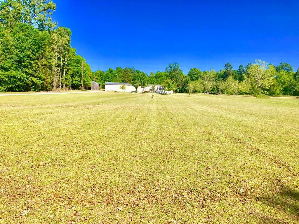 116 Cowden Street Jackson, SC 29831 - Photo 3 of 6