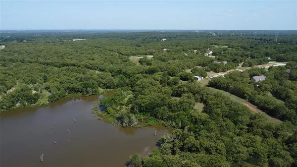 an aerial view of green landscape with trees houses and lake view