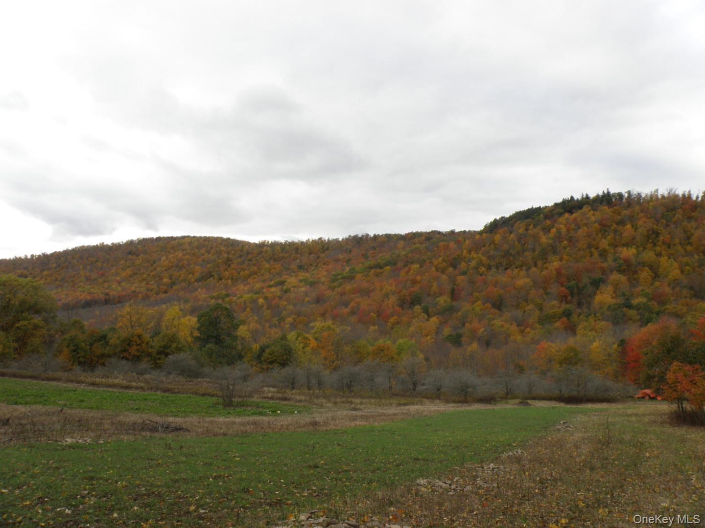 a view of grassy field with mountain