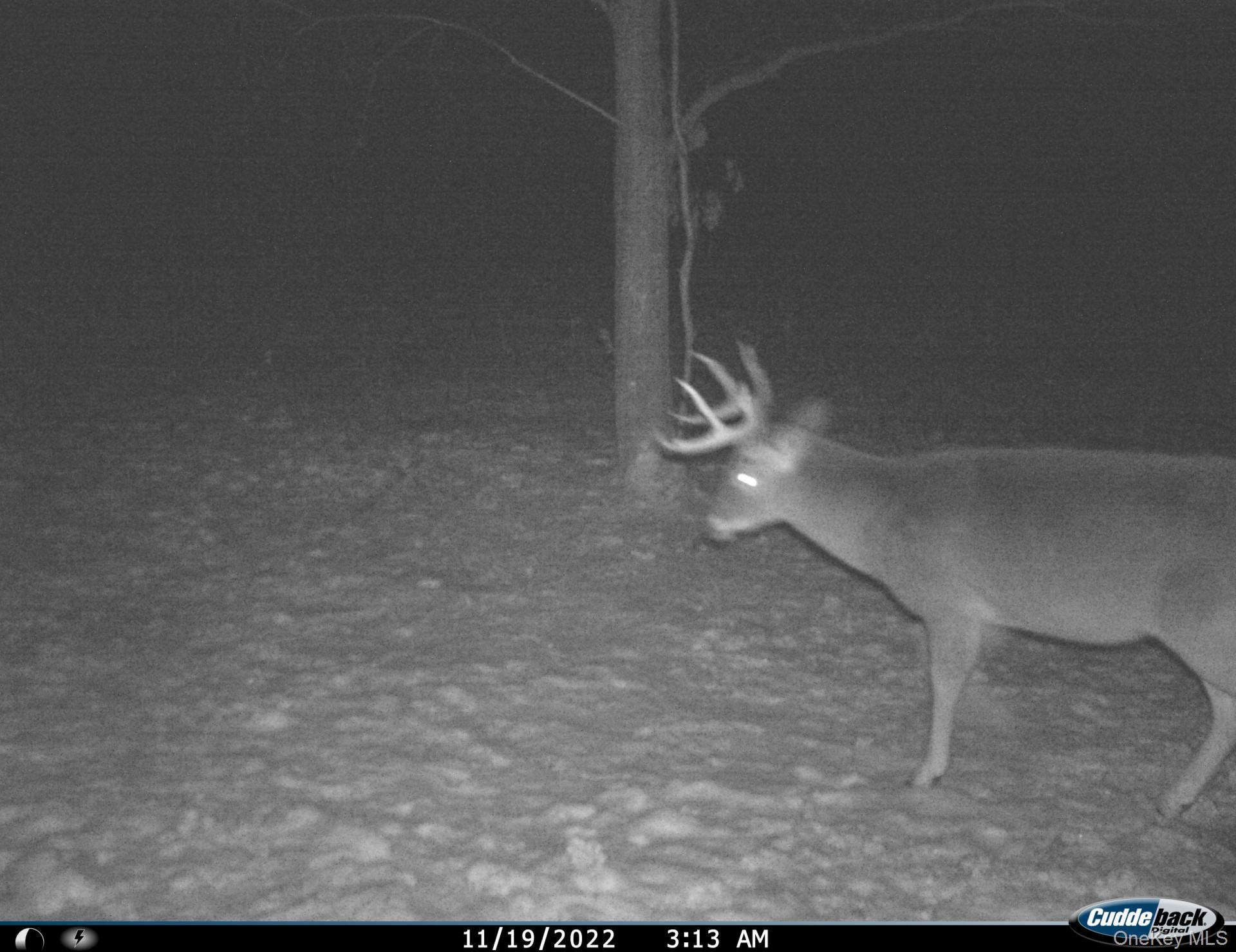 Gregory Hollow Road Hamden, NY 13782 - Photo 12 of 20