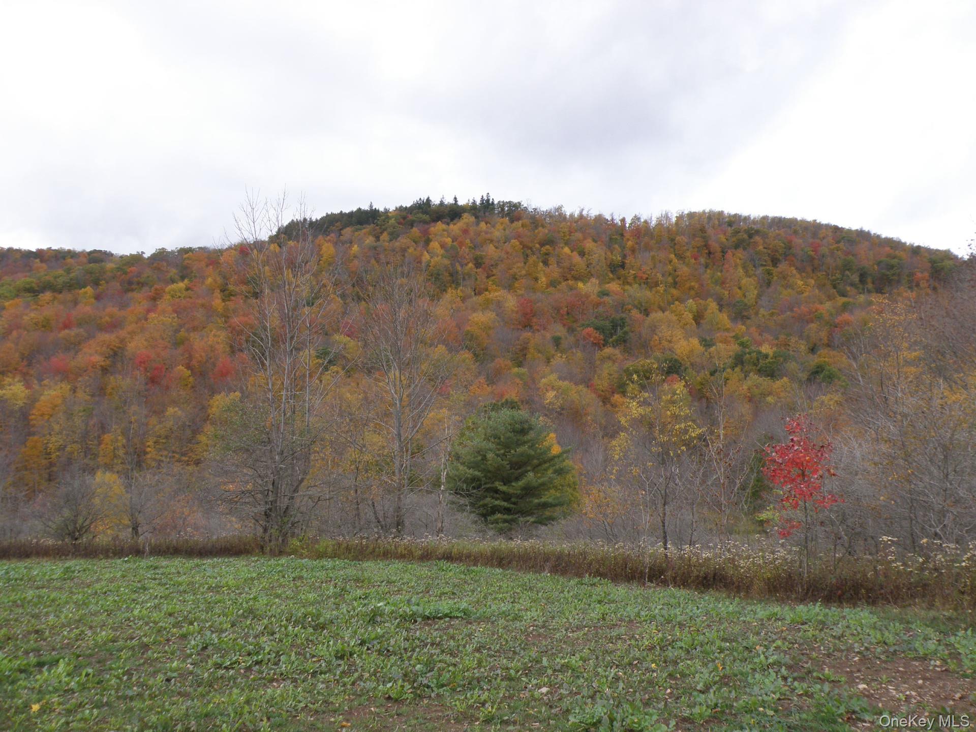 Gregory Hollow Road Hamden, NY 13782 - Photo 2 of 20 a view of a field