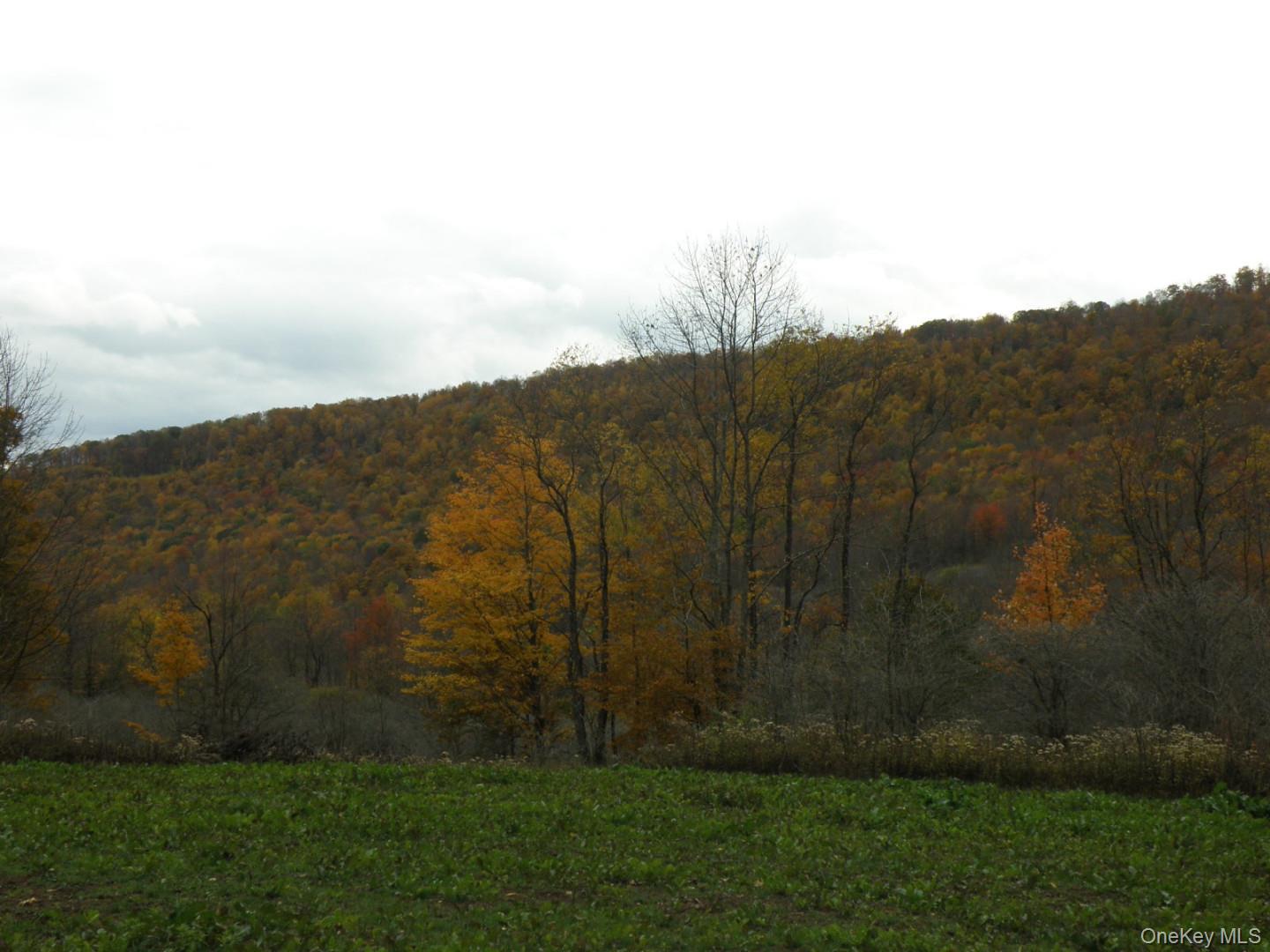 Gregory Hollow Road Hamden, NY 13782 - Photo 3 of 20 a view of outdoor space and mountain view