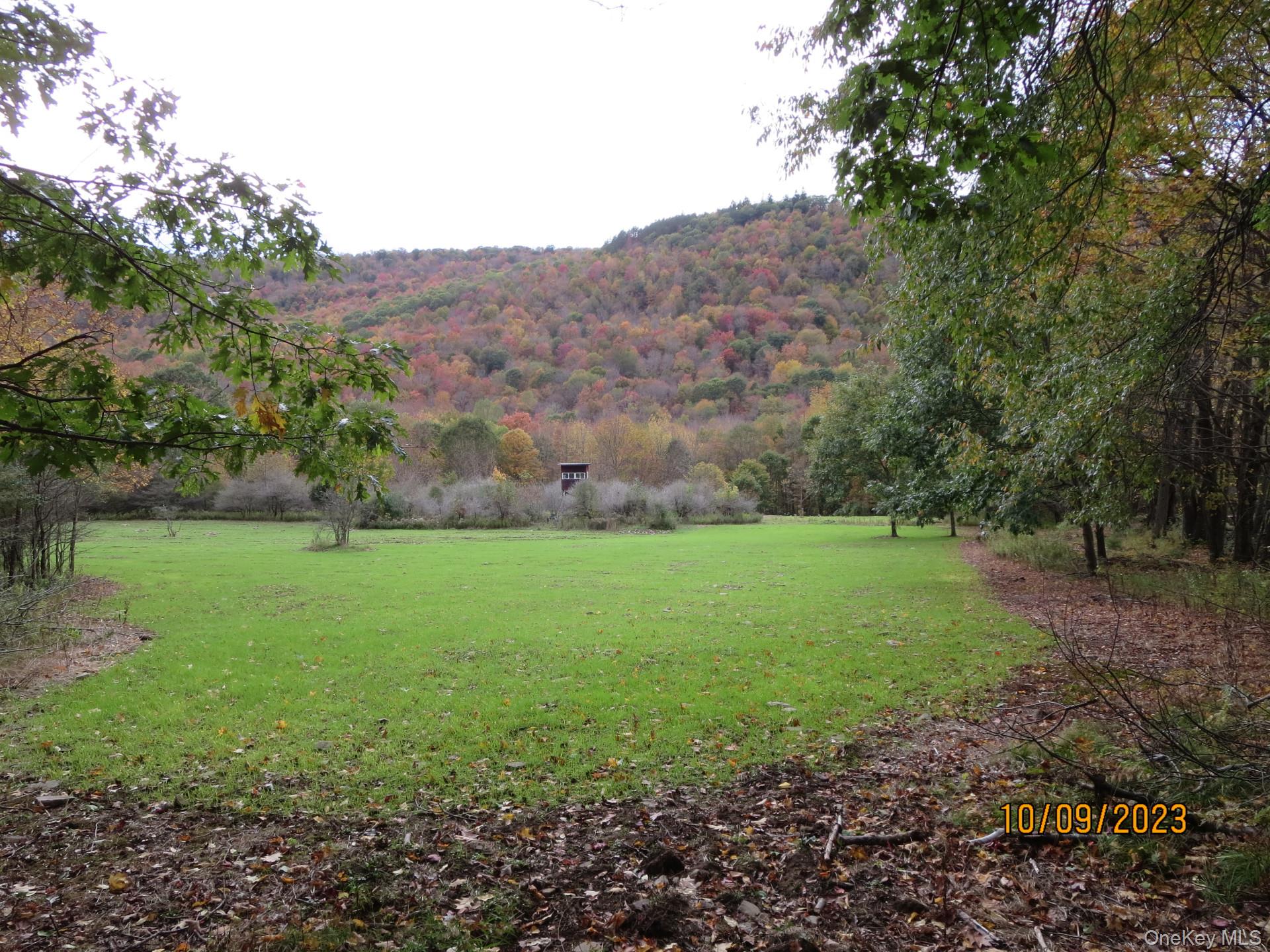 Gregory Hollow Road Hamden, NY 13782 - Photo 7 of 20 a view of outdoor space and mountain view