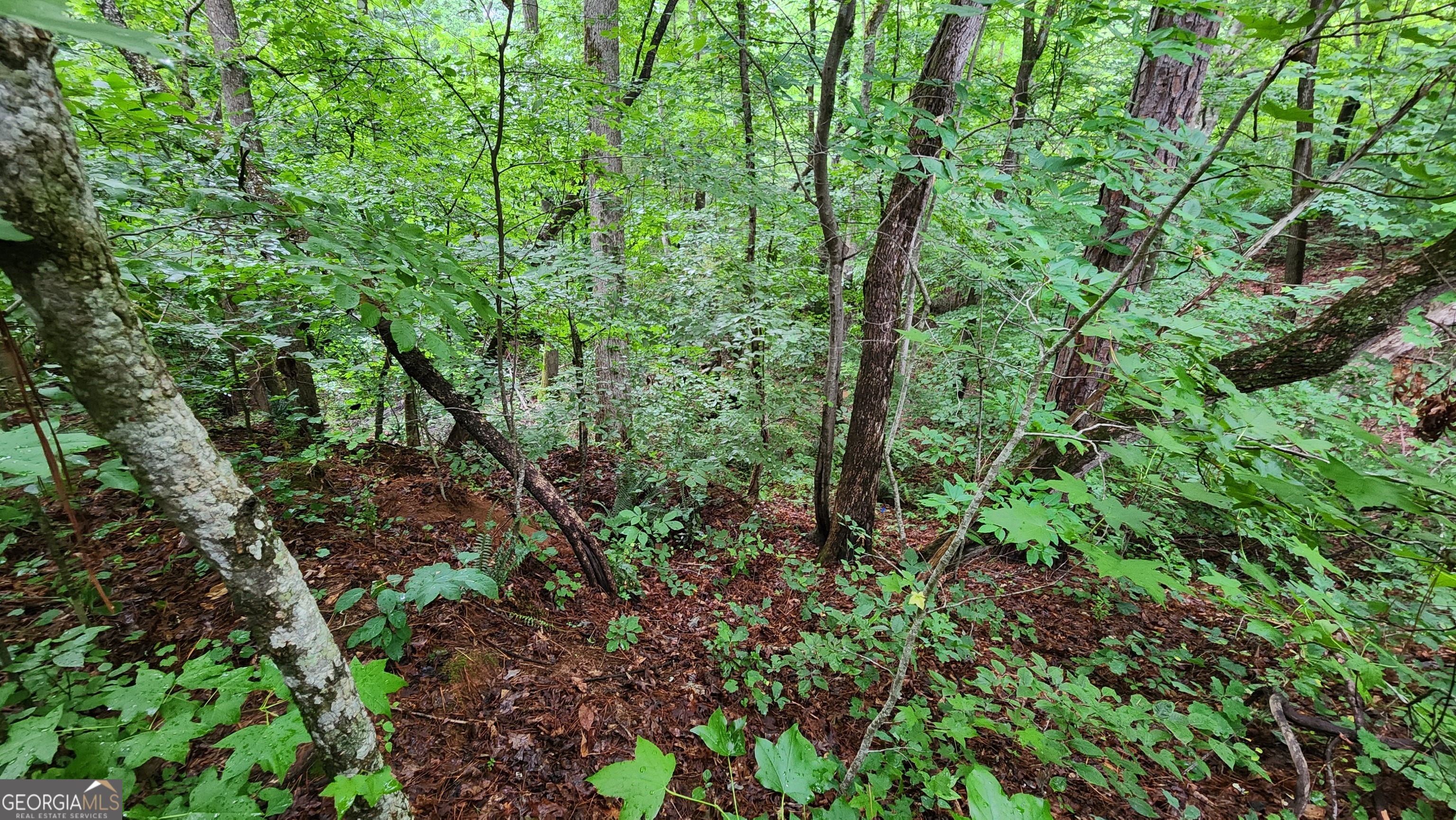 1136 Dolly Nixon Road Senoia, GA 30276 - Photo 17 of 18