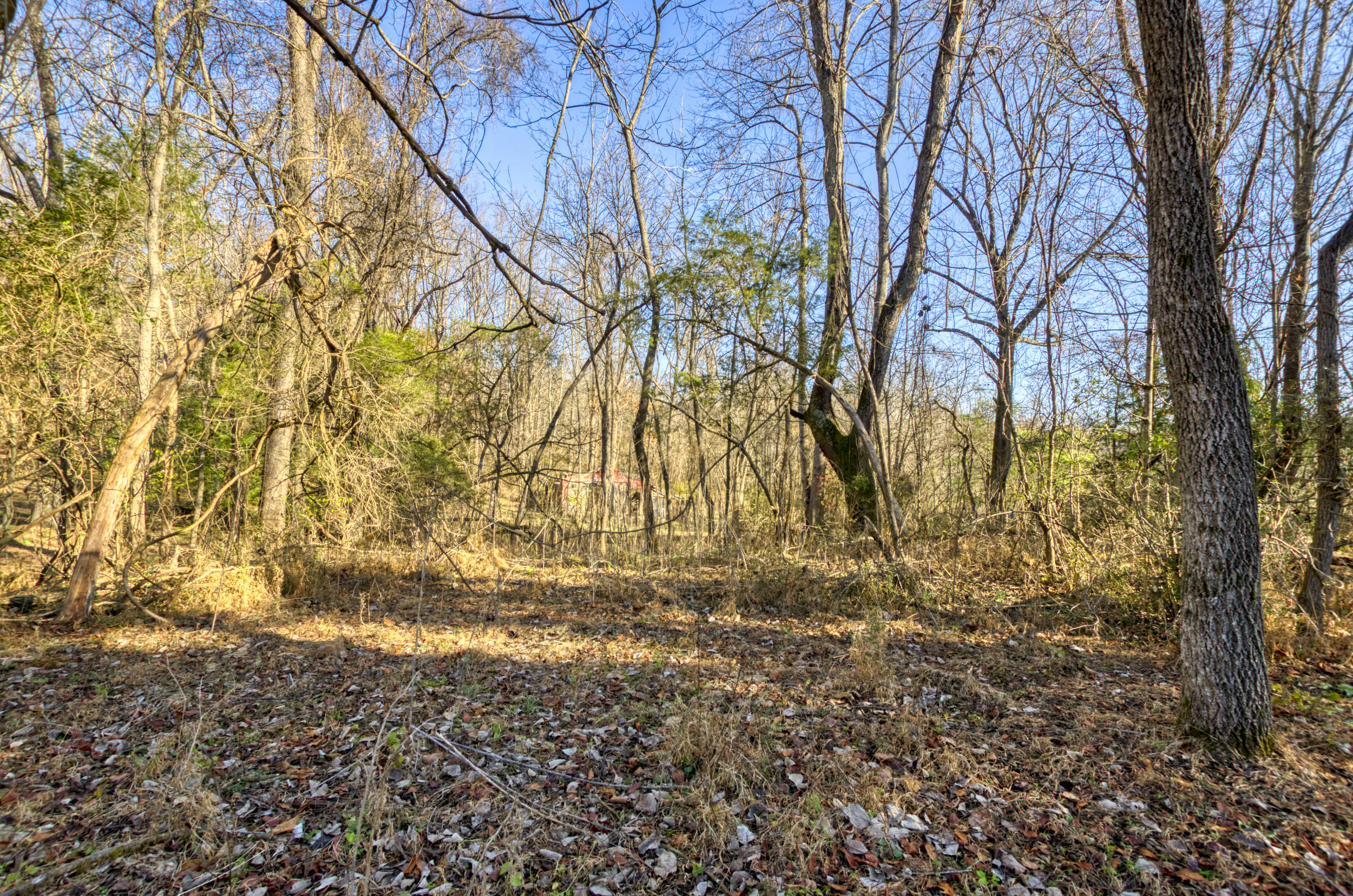 1101 North Paperville Road Bristol, TN 37620 - Photo 31 of 37 DSC_1741