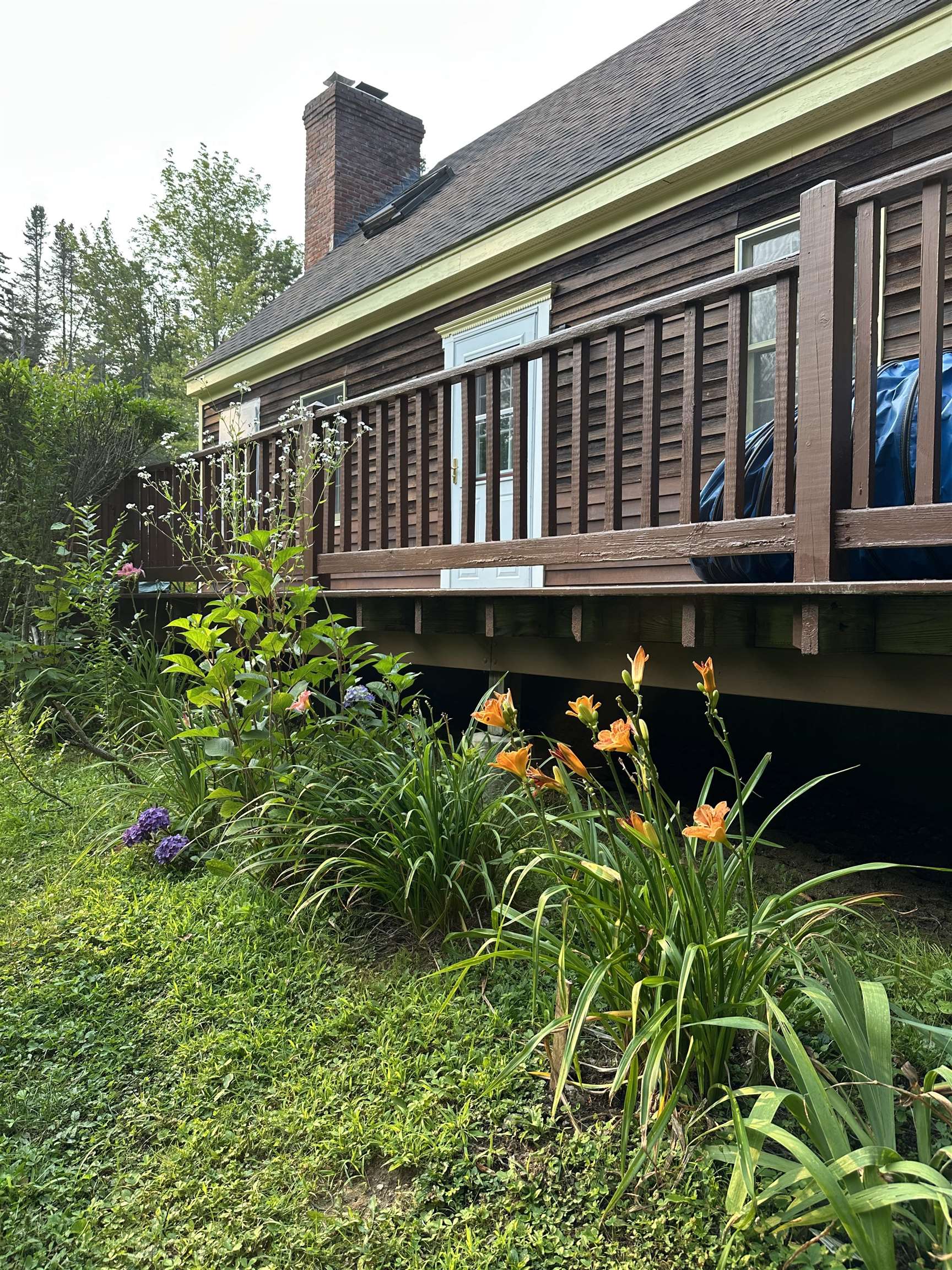 3243 Shunpike Road Mount Holly, VT 05758 - Photo 2 of 47