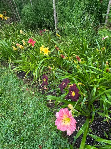 $422,000 | 3243 Shunpike Road, Mount Holly, VT 05758