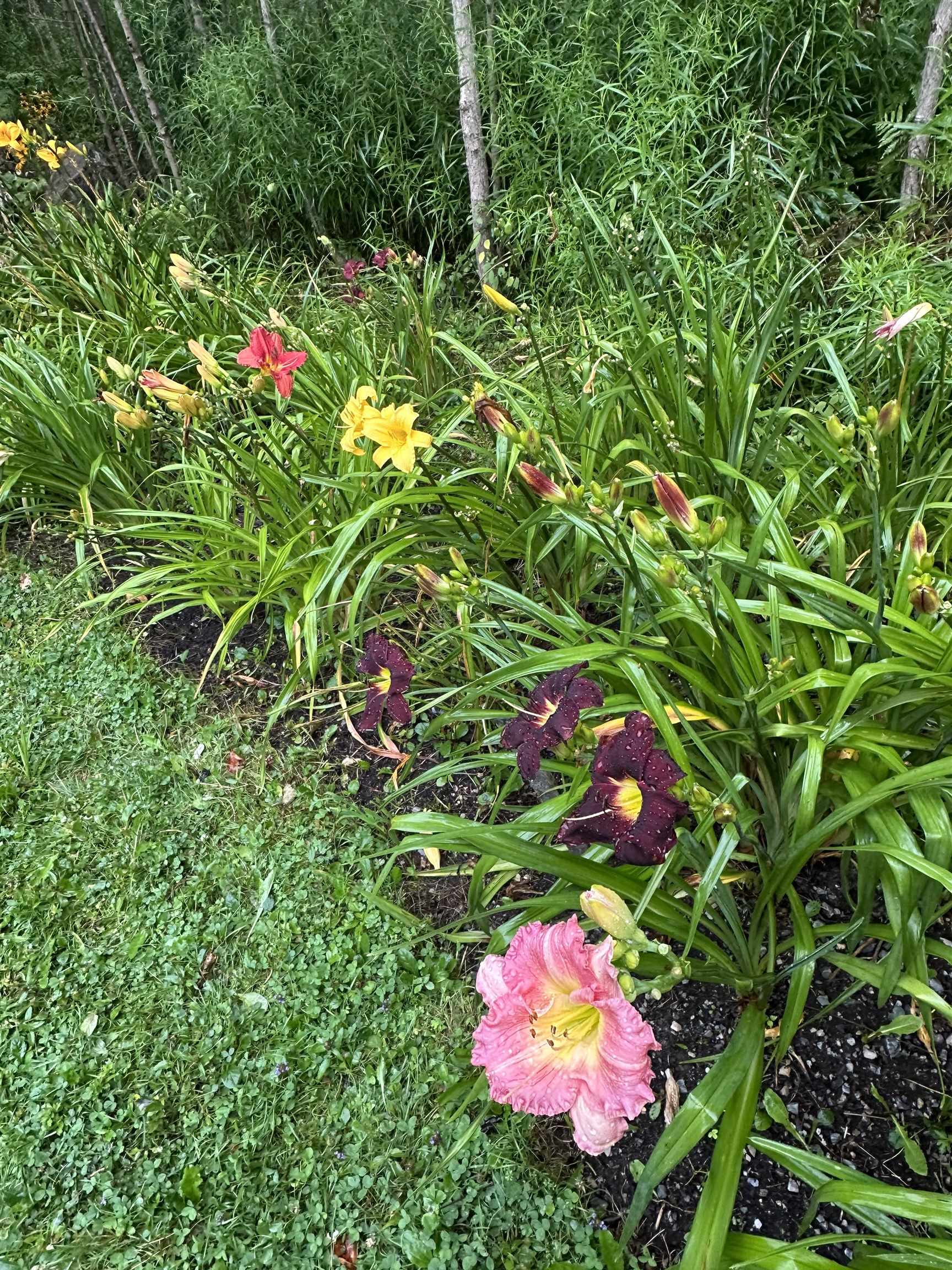 3243 Shunpike Road Mount Holly, VT 05758 - Photo 43 of 47