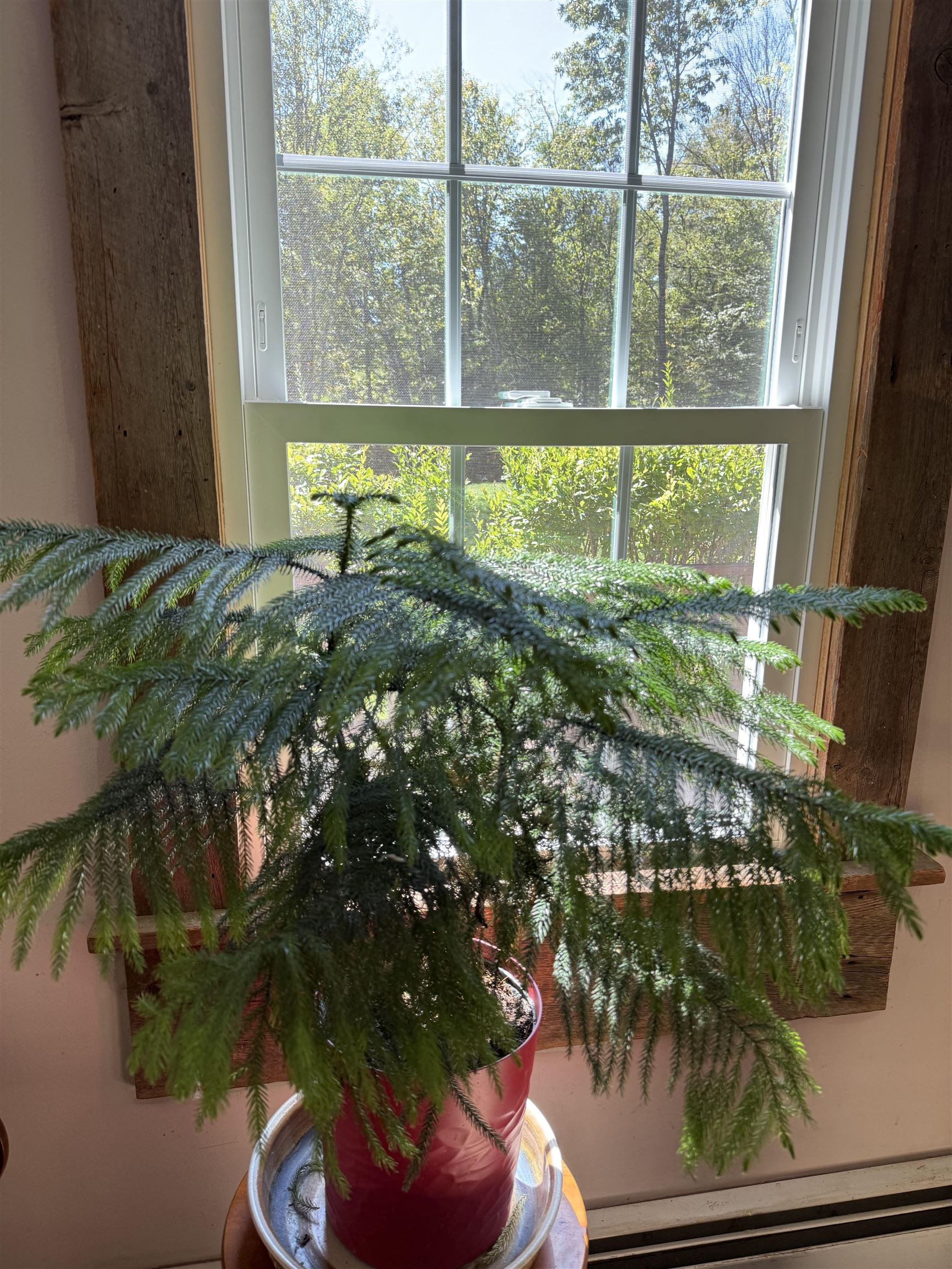 3243 Shunpike Road Mount Holly, VT 05758 - Photo 7 of 47