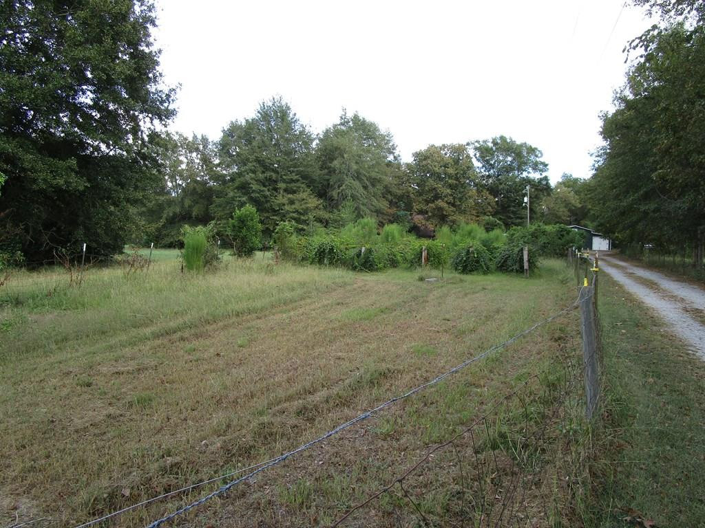 3480 Camp Rawls Road Wagener, SC 29164 - Photo 4 of 40