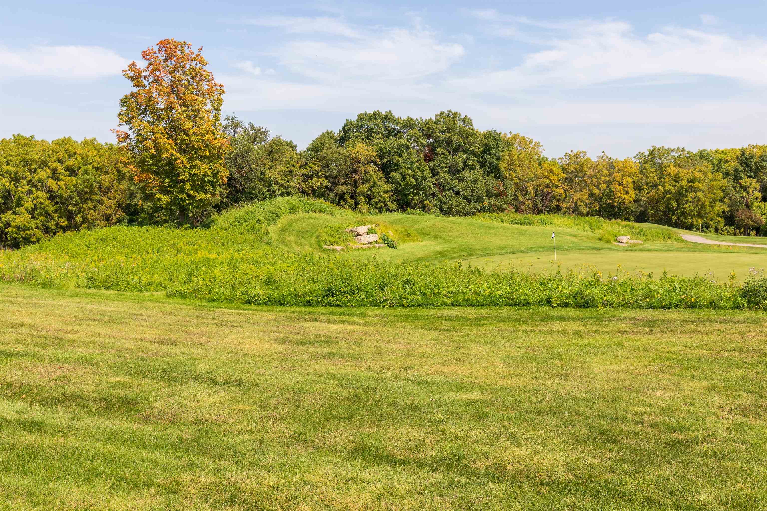 26 Poplar Ridge Galena, IL 61036 - Photo 18 of 55