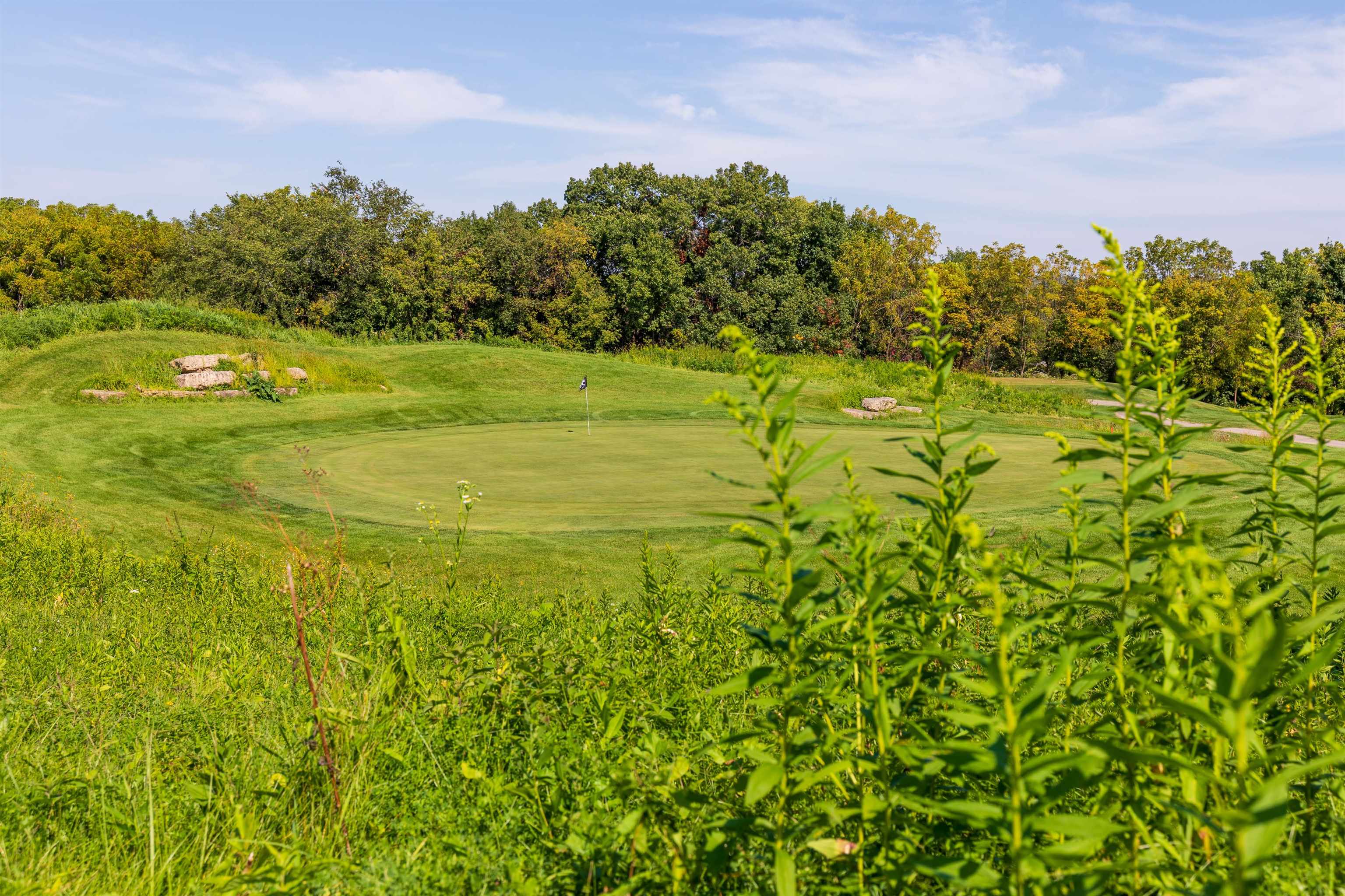 26 Poplar Ridge Galena, IL 61036 - Photo 52 of 55