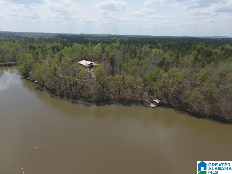 1853 Center Hill Road Lineville, AL 36266 - Photo 15 of 43 Gallery Image 15