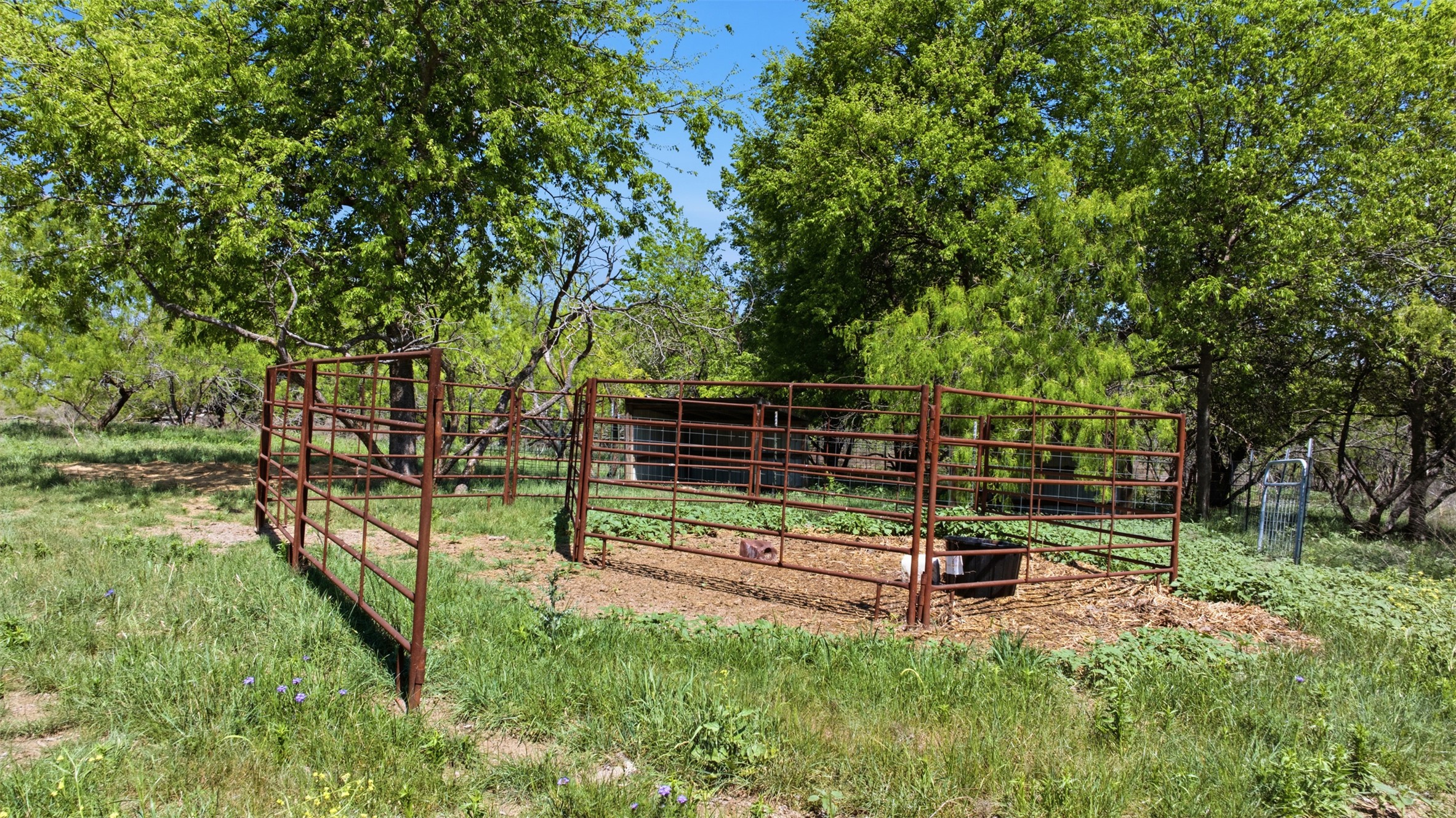 Mature trees frame a functional metal corral nestled within the grassy pasture.