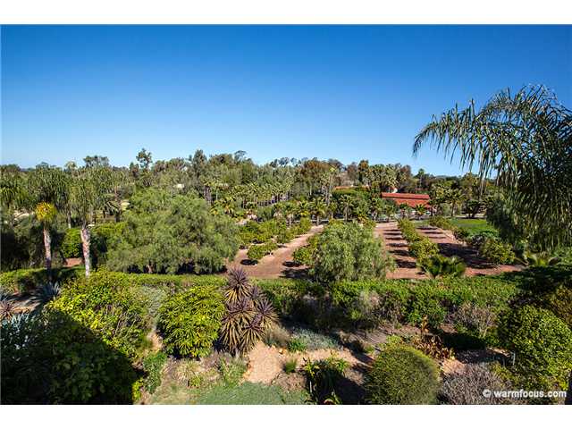 16639 Las Cuestas Rancho Santa Fe, CA 92067 - Photo 14 of 20 Gallery Image 14