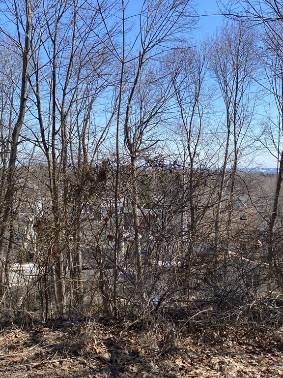 78 Coolidge Road Arlington, MA 02476 - Photo 2 of 6