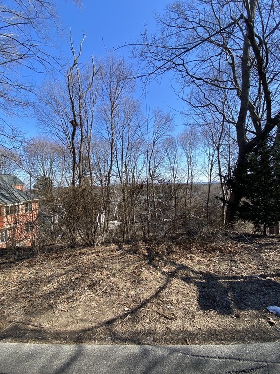 78 Coolidge Road Arlington, MA 02476 - Photo 3 of 6