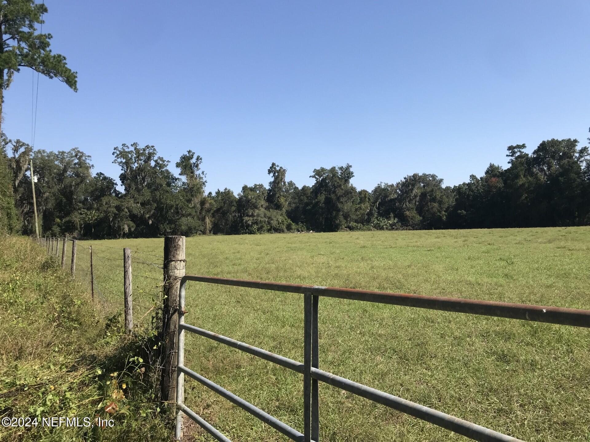 0 Tanner Road Florahome, FL 32140 - Photo 1 of 17 TannerRd11