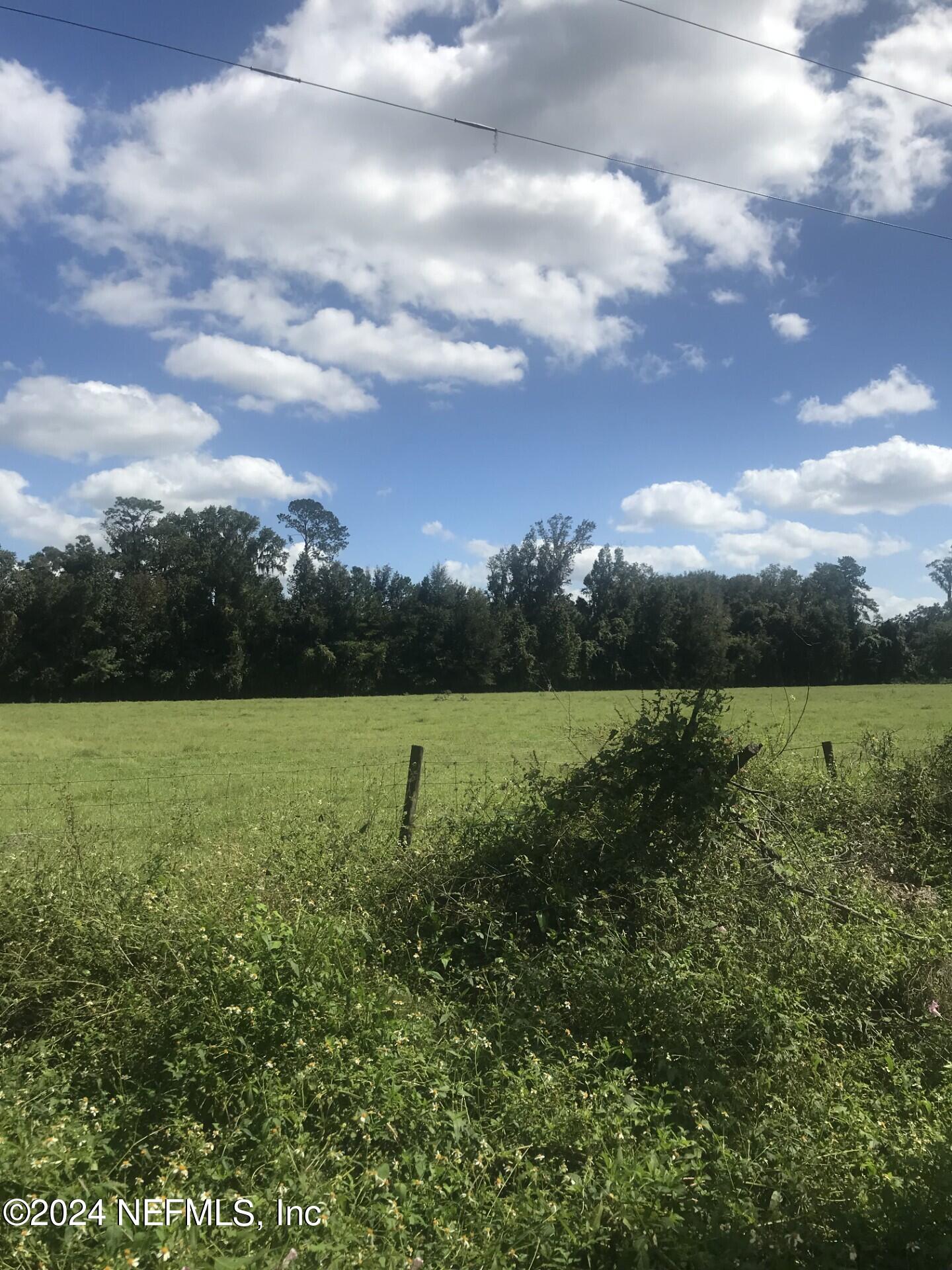 0 Tanner Road Florahome, FL 32140 - Photo 2 of 17 TannerRd1