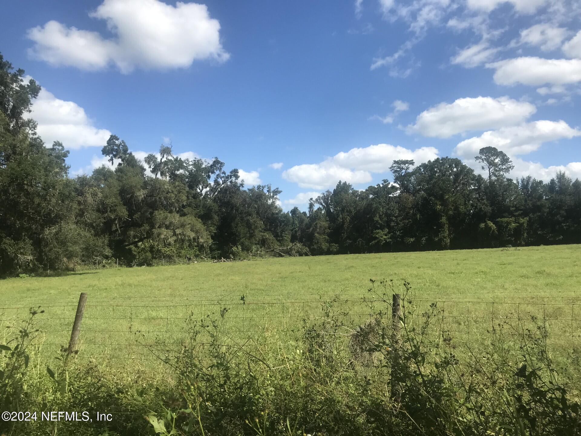 0 Tanner Road Florahome, FL 32140 - Photo 4 of 17 TannerRd3