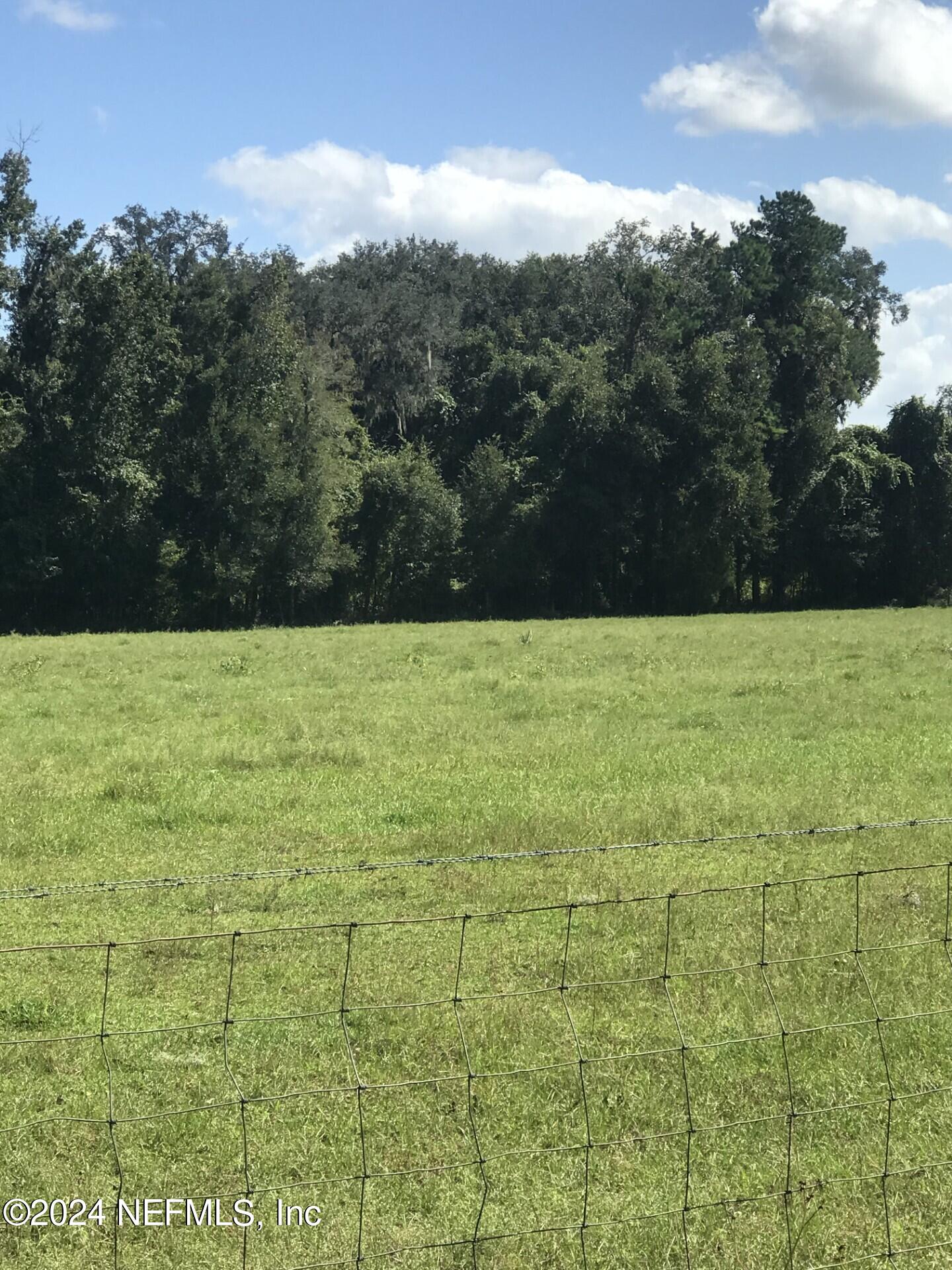 0 Tanner Road Florahome, FL 32140 - Photo 6 of 17 TannerRd5