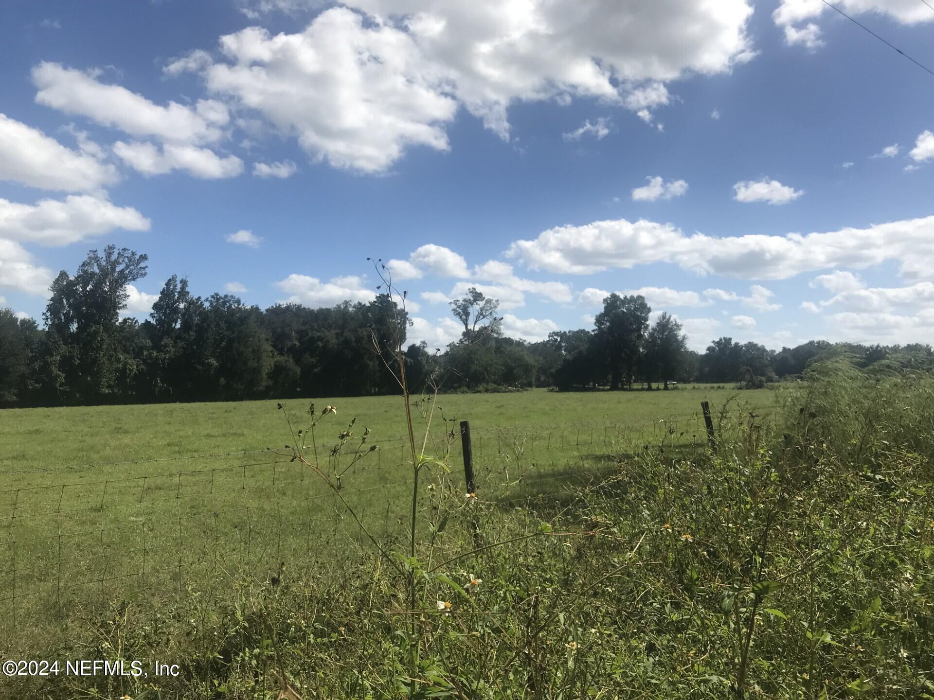 0 Tanner Road Florahome, FL 32140 - Photo 8 of 17 TannerRd7