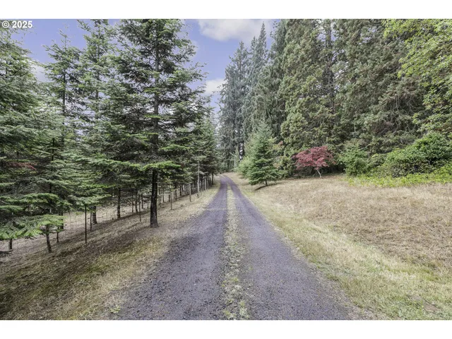 a view of outdoor space and yard