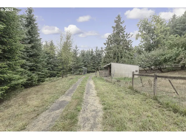 a view of a backyard