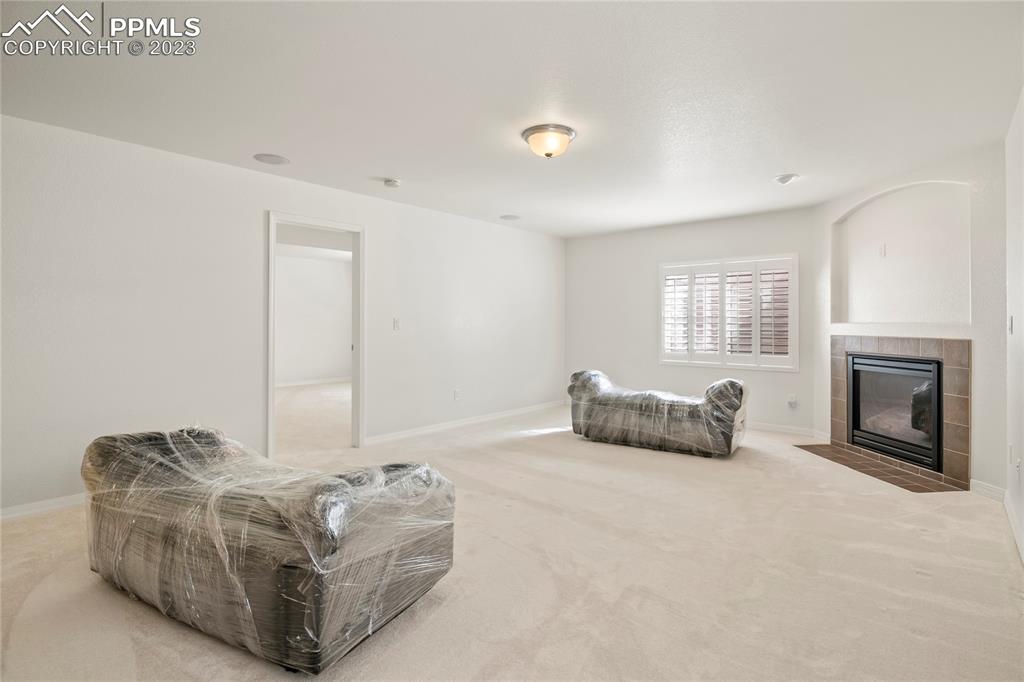 10658 Pictured Rocks Drive Peyton, CO 80831 - Photo 24 of 36 a living room with furniture and a fireplace