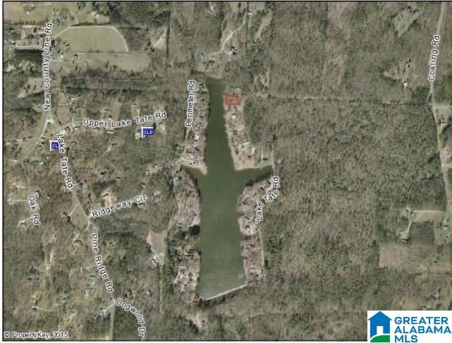 0 Lake Tate Road, Unit 38 Sylacauga, AL 35151 - Photo 10 of 11