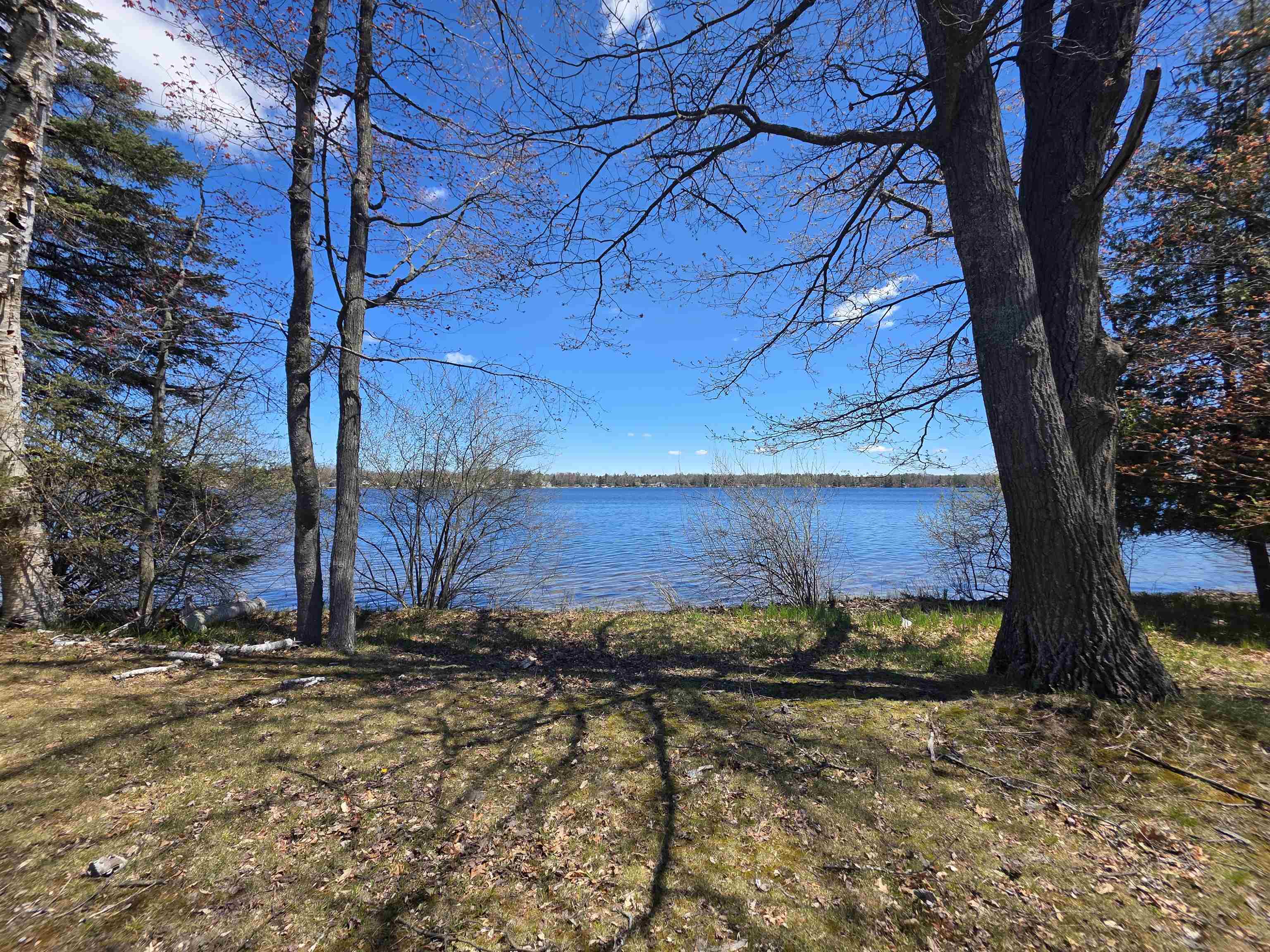 0 Bliss Road Hale, MI 48739 - Photo 11 of 14