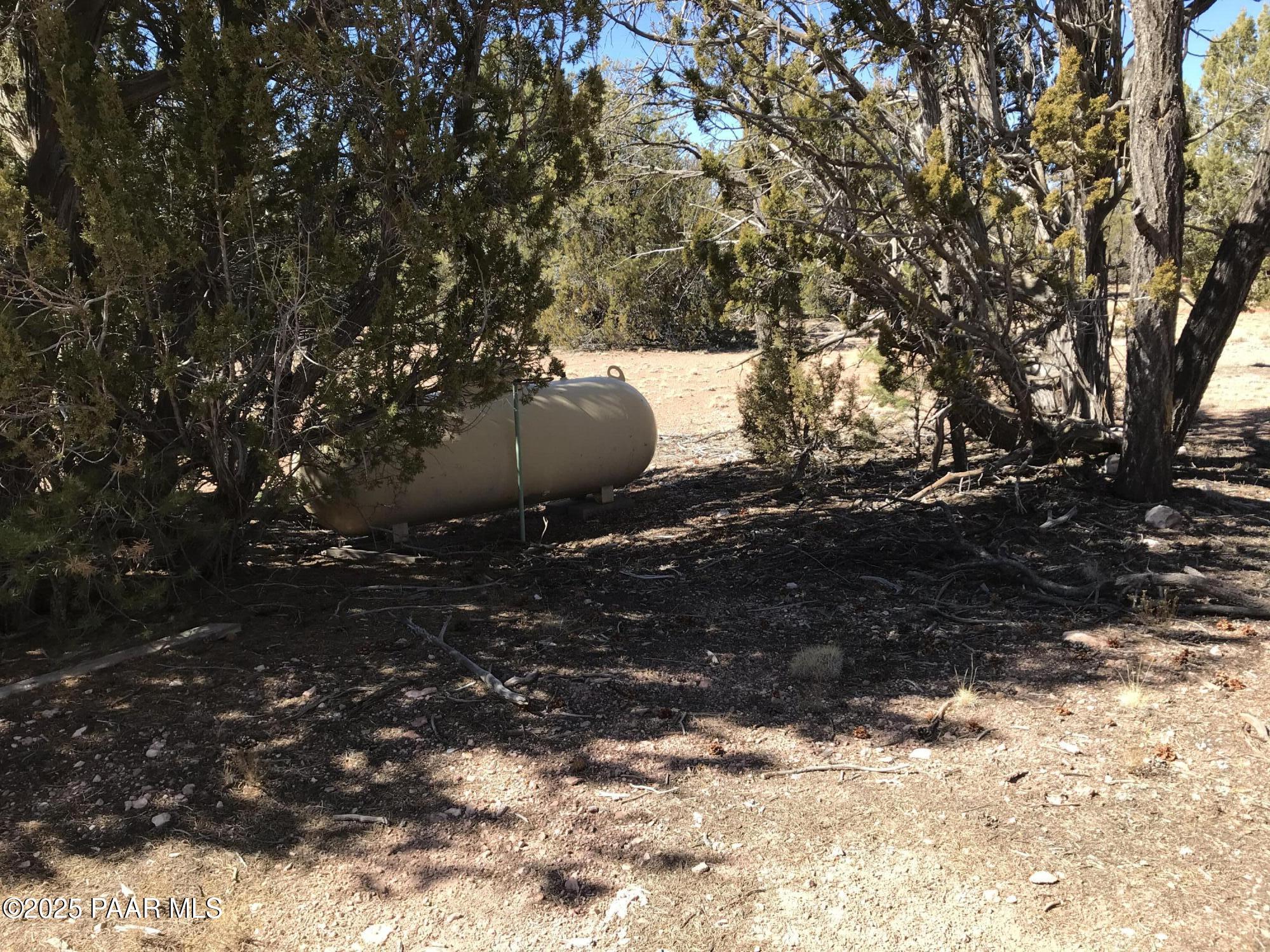 30603 Bucks Road Seligman, AZ 86337 - Photo 26 of 29 IMG_4217