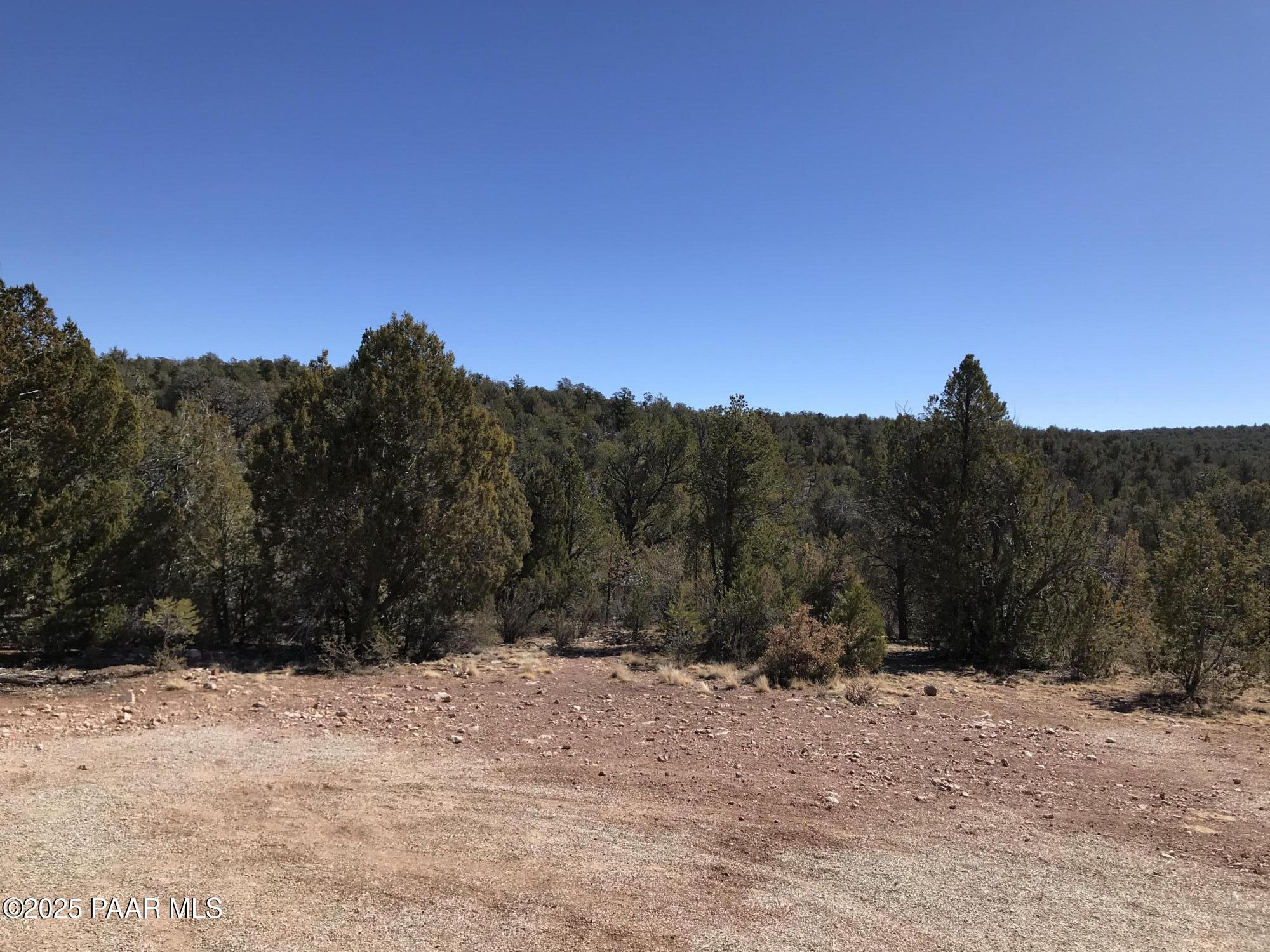 30603 Bucks Road Seligman, AZ 86337 - Photo 29 of 29 IMG_4253