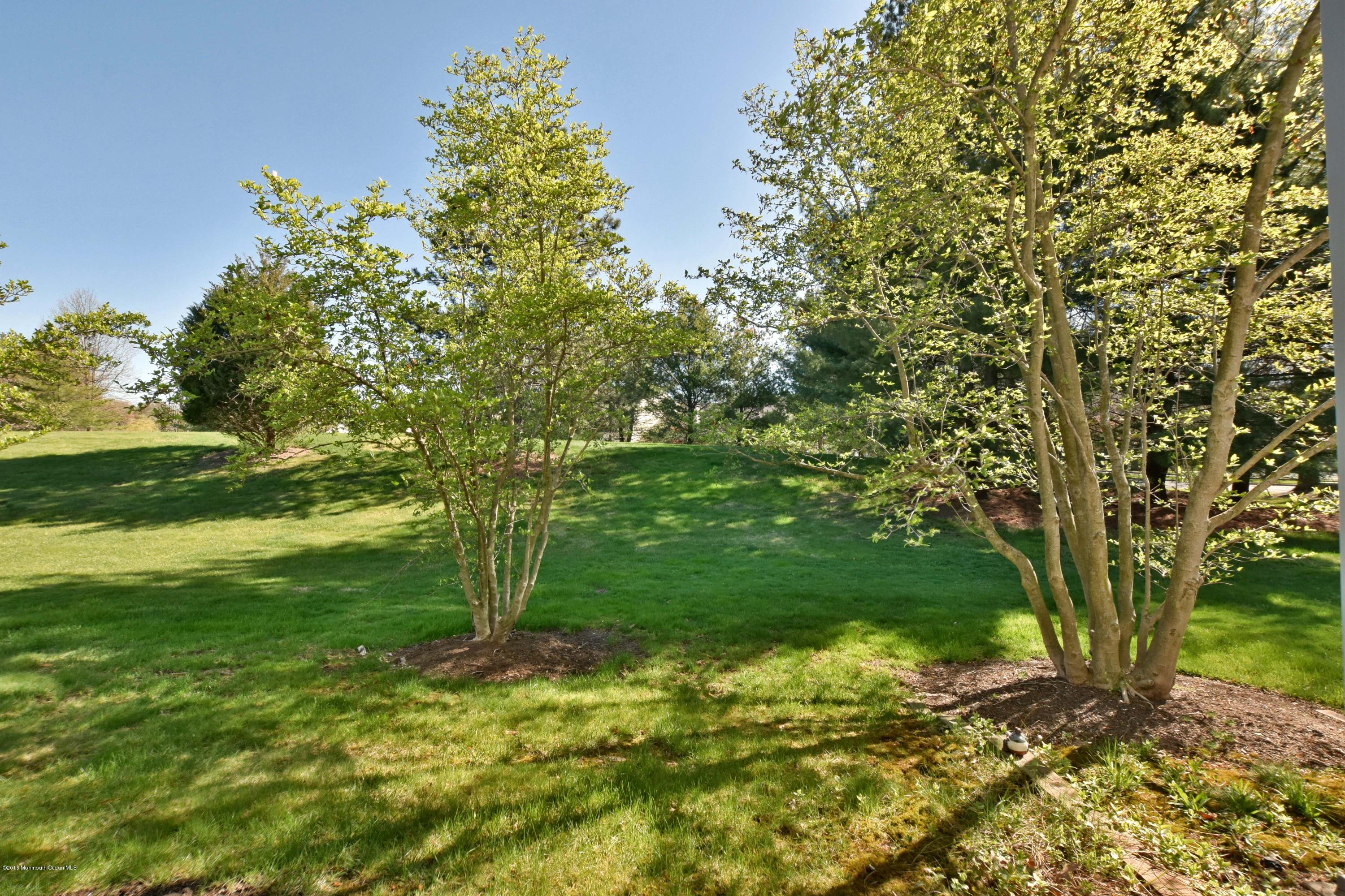 235 Ravenswood Road Englishtown, NJ 07726 - Photo 8 of 10 Back