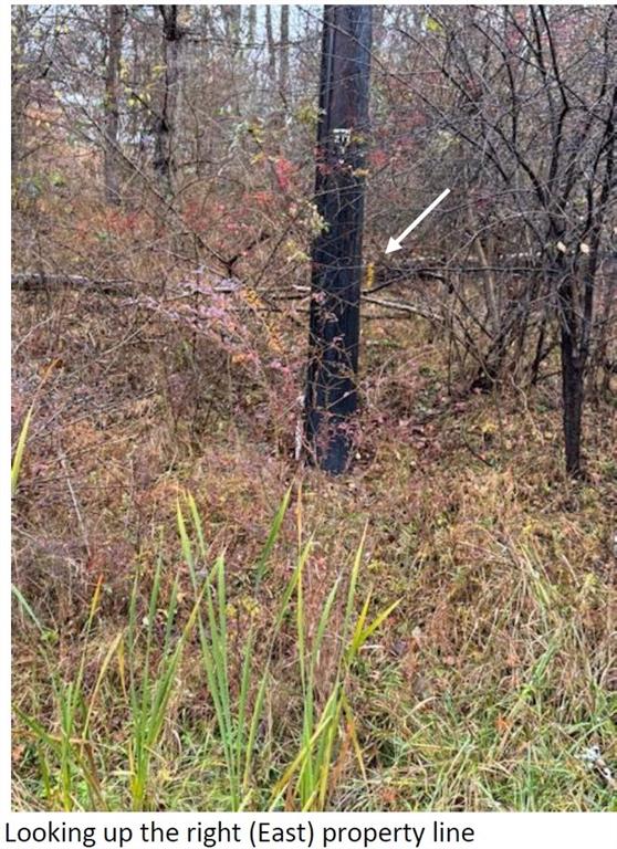 55 Dietrich Road Pittsburgh, PA 15238 - Photo 14 of 47 Looking up the Right (East) property Line