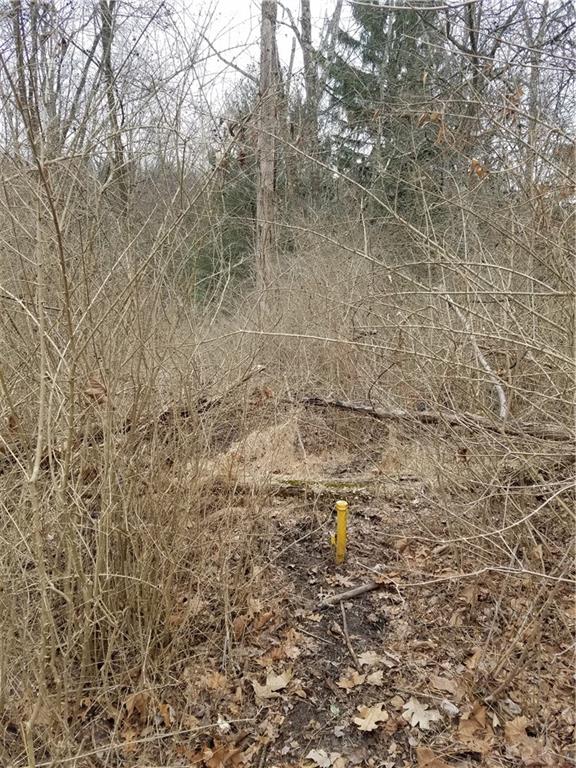 55 Dietrich Road Pittsburgh, PA 15238 - Photo 43 of 47 Yellow property marker