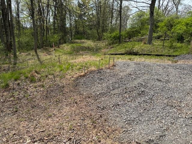 55 Dietrich Road Pittsburgh, PA 15238 - Photo 6 of 47 View of Homesite