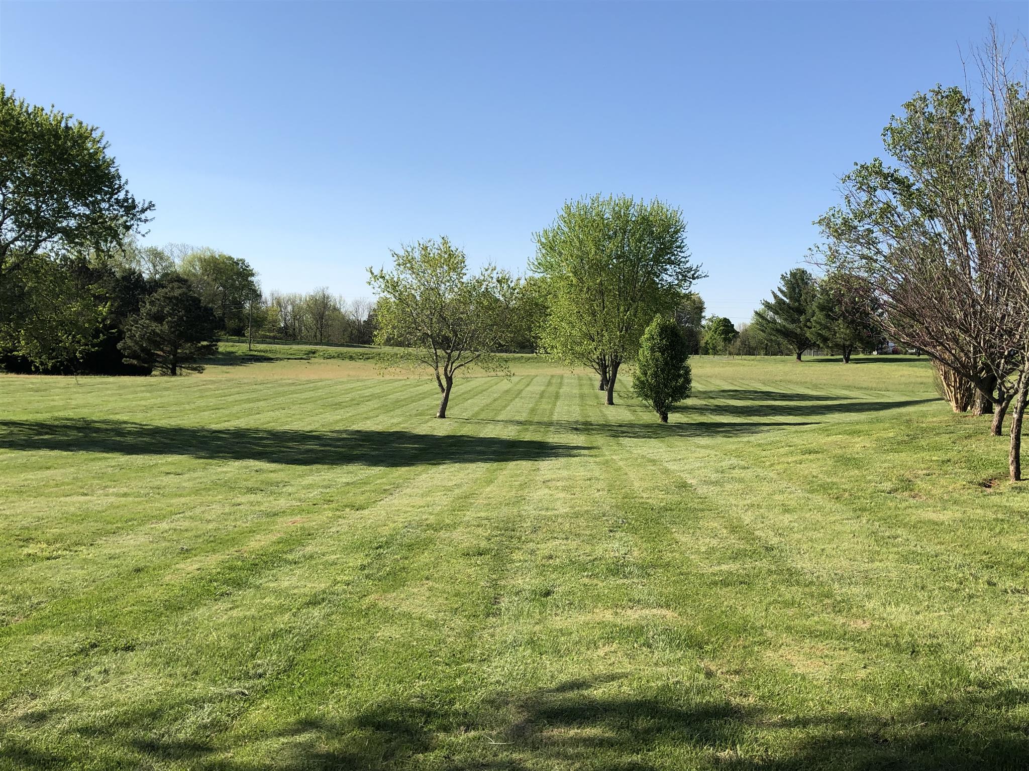 2230 Davidson Graveyard Road Clarksville, TN 37043 - Photo 7 of 28 View of lot behind home towards Lock B Rd.