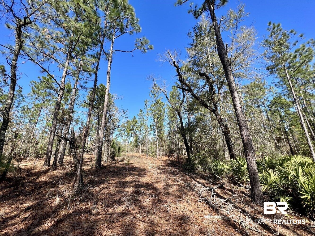 0 Dixon Road Bay Minette, AL 36507 - Photo 44 of 50